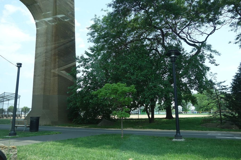 renovated pathway in city park